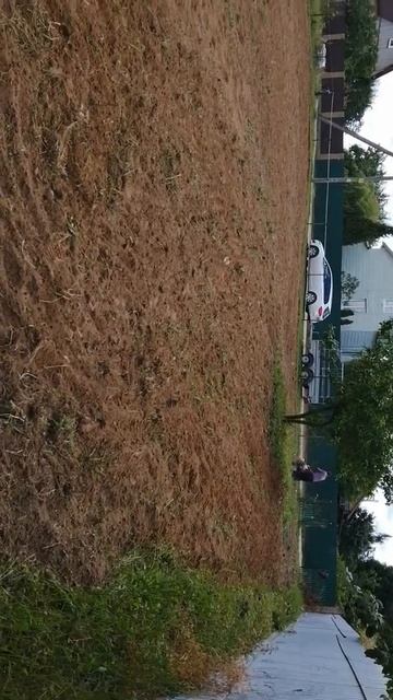 Боронование мотоблоком МТЗ 09н смотреть онлайн