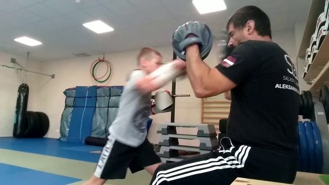 Работа по лапам! 🥊 смотреть онлайн