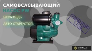 RICH - контент самовсасывающего насоса серии PW от GIDROX