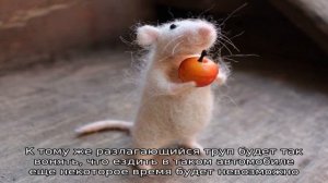 Как бороться с мышами в машине?