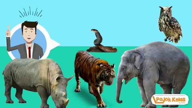 Kelas 5 SD Persebaran Fauna dan Flora di Indonesia Tema 1 Subtema 2 Mupel IPS смотреть онлайн