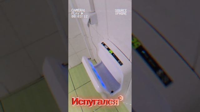 Обзор Туалета в Самбери. Смерть из-за 10 секундой бомбы-сушилки, рофл в юмористических целях (VHS) смотреть онлайн