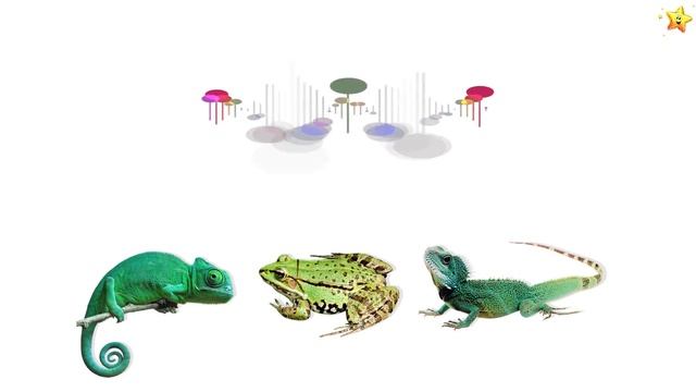 Угадай Чей Голос? Животные по Системе Монтессори - Развивающие Мультики для Детей смотреть онлайн