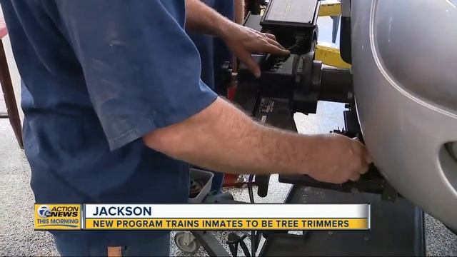 Michigan inmates to be trained in first-ever tree-trimming program смотреть онлайн