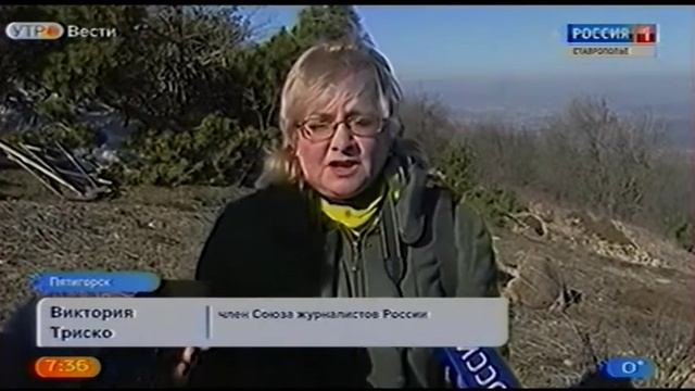 Пятигорск Зеленая акция- высадка сосен на вершине Машука смотреть онлайн