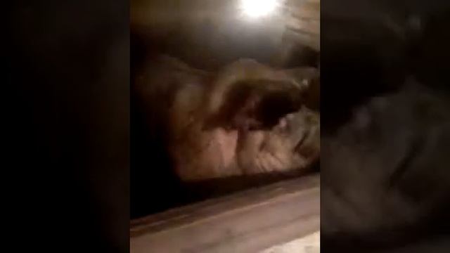 20171225 175509 смотреть онлайн