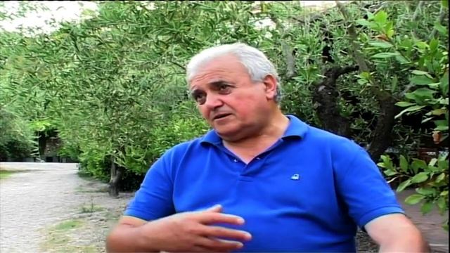 Giuseppe Cilento - L’olio di oliva, elisir di lunga vita смотреть онлайн