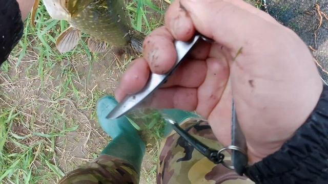 Рыбалка огонь! Щуки дуреют и клюет на ВСЕ! смотреть онлайн