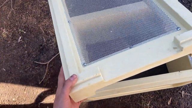 Працюємо повним ходом!🐝 смотреть онлайн