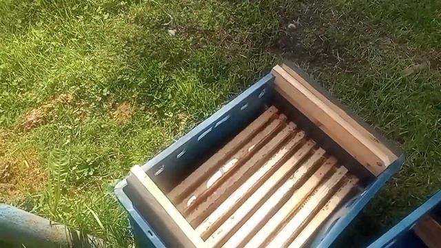 Ящик для хранения и переноса медовых рамок смотреть онлайн