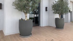 Vida Beach Resort Umm Al Quwain