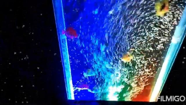 lampu hias gelembung air смотреть онлайн