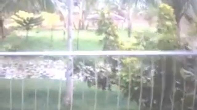 Aqua Vista Garden and Resort смотреть онлайн