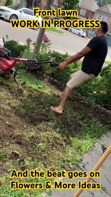 Front lawn WORK IN PROGRESS- And the beat goes on- Flowers & More Ideas смотреть онлайн