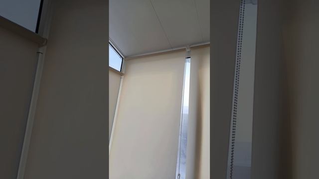 1001551911.mp4 смотреть онлайн