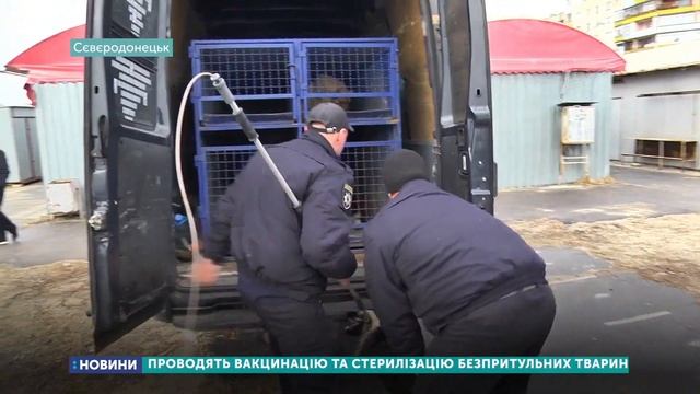 У Сєвєродонецьку проводять стерилізацію безпритульних тварин смотреть онлайн