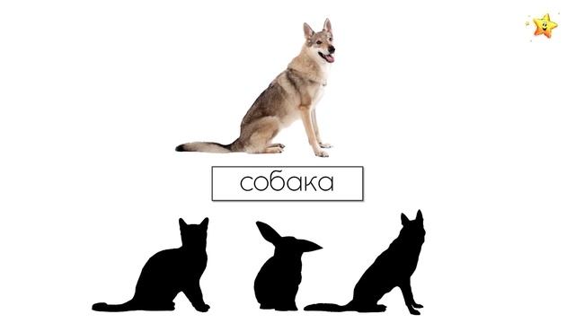 Большой Сборник Монтессори Развивающие Мультики для Детей смотреть онлайн