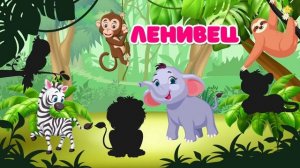 Учим Диких Животных по Системе Монтессори Развивающие Мультики для Детей