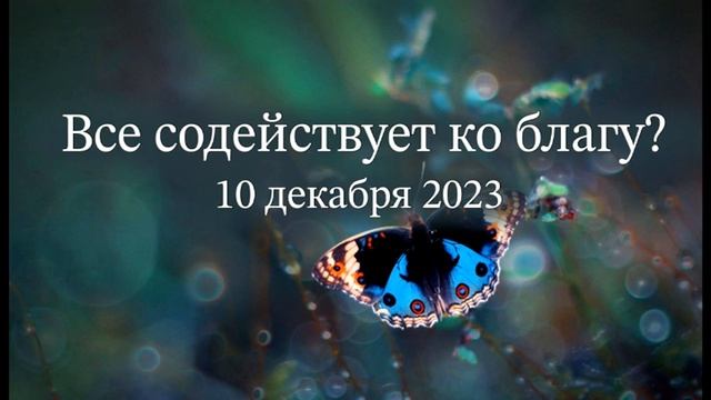 Все содействует ко благу? смотреть онлайн