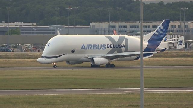 AIRBUS BELUGA XL's Spectacular Landing in Toulouse смотреть онлайн