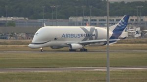 AIRBUS BELUGA XL's Spectacular Landing in Toulouse