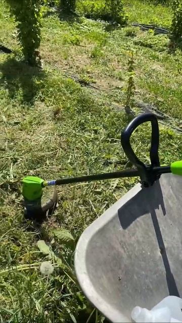Новый помощник триммер аккумуляторный GreenWorks. Мини отзыв и обзор смотреть онлайн