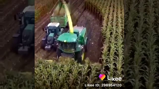 03450786219 & WhatsApp смотреть онлайн