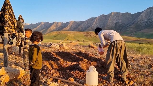 "Life and love: the story of a young man and a nomadic widow in the field" смотреть онлайн