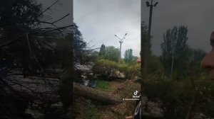 Морозильная камера сухой заморозки или капельной?