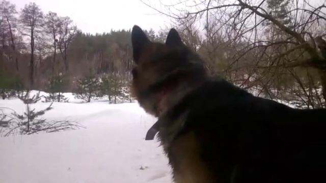 Снега по колено. 20 минут копа на одной ладони // 28 марта 2018 смотреть онлайн