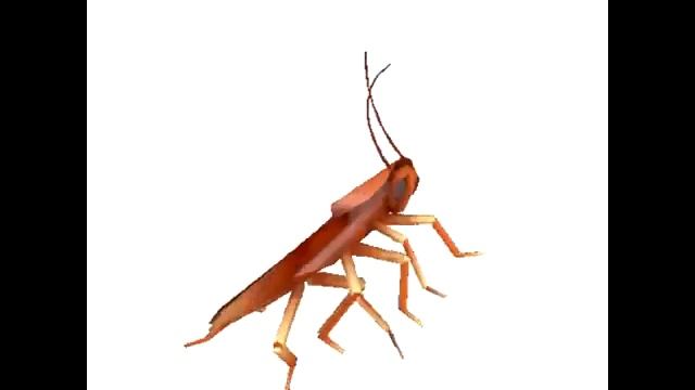 Танцующий Таракан 1 час смотреть онлайн