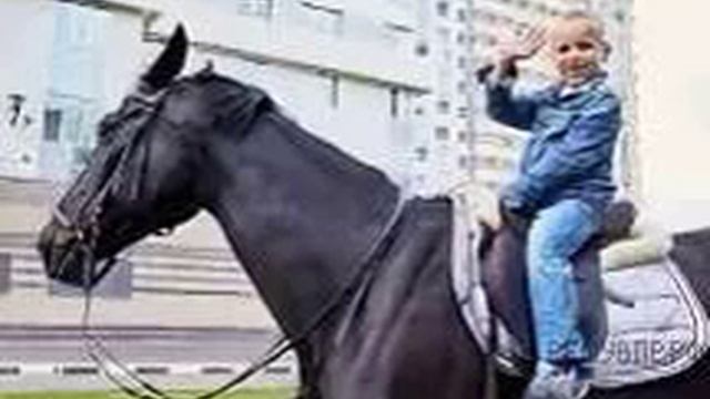 ка 7 4 четверть 1 смотреть онлайн