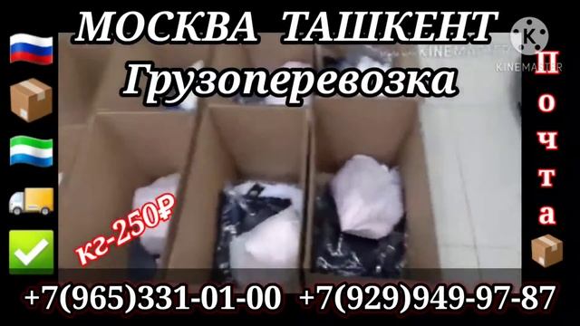 #pochta MOSKVA TASHKENT SANKT-PETERBURG TASHKENT Москва Ташкент почта, юк, карго 79653310100 смотреть онлайн