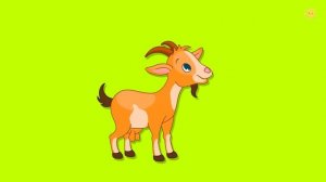 Викторина! Развивающие мультики про животных для детей