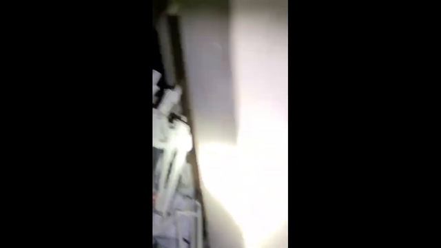 Що сталося з фермою Plecoceramics у Харкові та наша історія переїзду смотреть онлайн