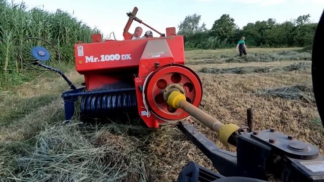 Сколько надо сена на одну корову. Сенокос 2024, луговое сено. смотреть онлайн