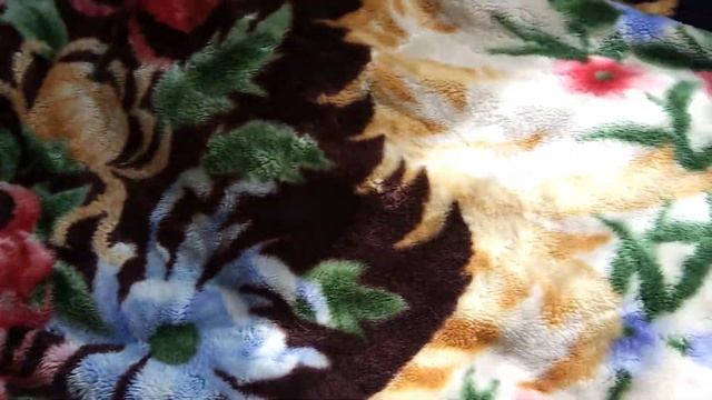 У меня кот филя залез под покрывало а заправлено идеально видео для детей смотреть онлайн