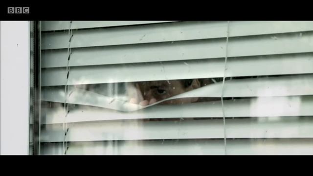 Splendid Isolation: The Girl at the Window смотреть онлайн