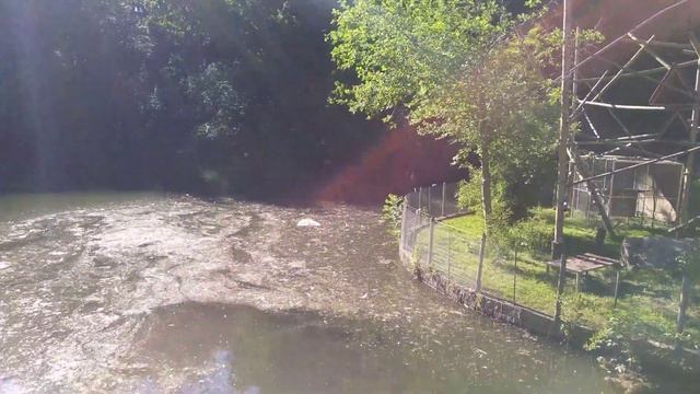 Карп. Либерец смотреть онлайн