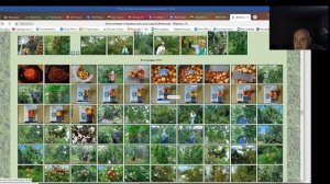 Скидки на черенки и косточки из лучшего сада В.Железова в Сибири.