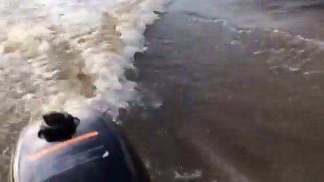 Genovo 5hp смотреть онлайн