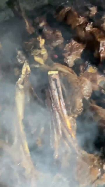 Много мясо на углях❤️ смотреть онлайн