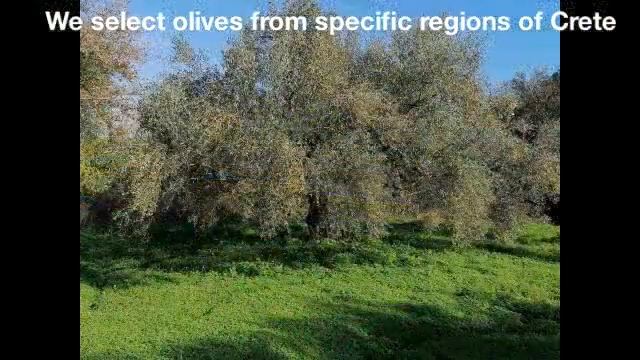 Premium, Organic, Extra Virgin Olive oil - Edia Kolimbari, Crete смотреть онлайн