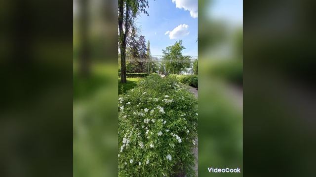 Кольцовский сквер в прекрасный Майский День 4.5.2023 год смотреть онлайн