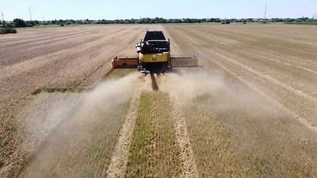 New Holland CR9.80 2020 harvest смотреть онлайн