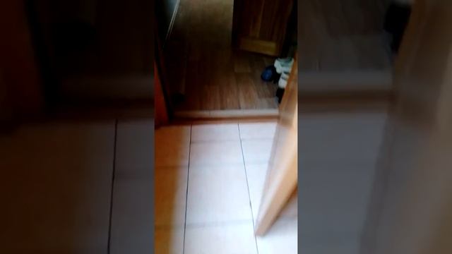 24 часа от моего лица смотреть онлайн