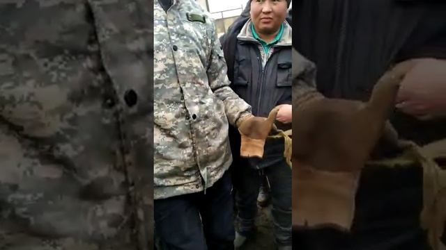 мына кочкор 185 мин смотреть онлайн