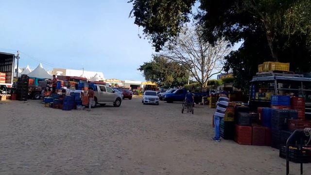 FEIRA NA CEASA DE TIANGUÁ-CE 6/8/2024 смотреть онлайн