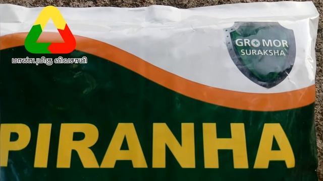 PIRANHA | Buprofezin 15% + Acephate 35% || Gromor || 'whitefly Management смотреть онлайн