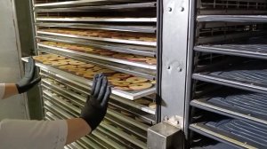 Инфракрасный дегидратор для овощей, фруктов, мяса и рыбы отечественный